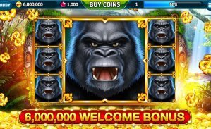 70t bet